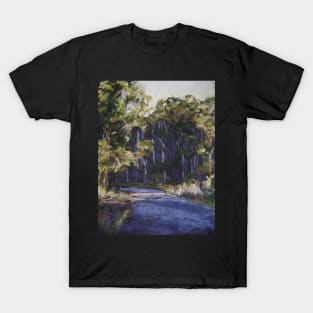 Late afternoon shadows, Coomba Park, NSW T-Shirt